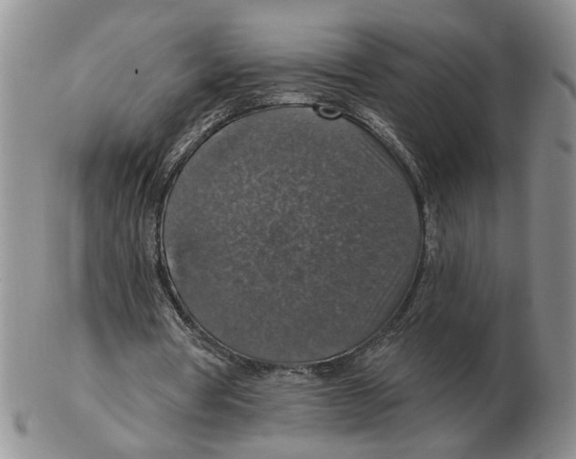 X0000102770386200809151044