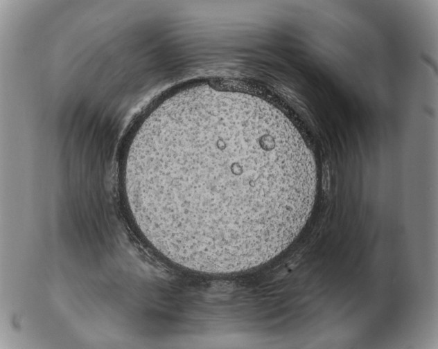 X0000102770388200809151044