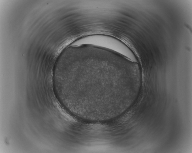 X0000102770389200809151044