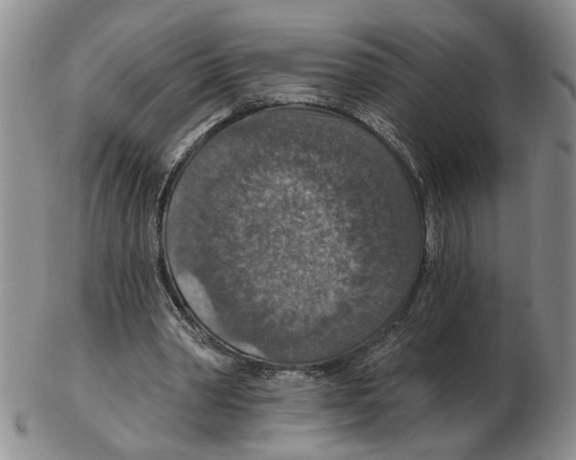 X0000102770390200809151044