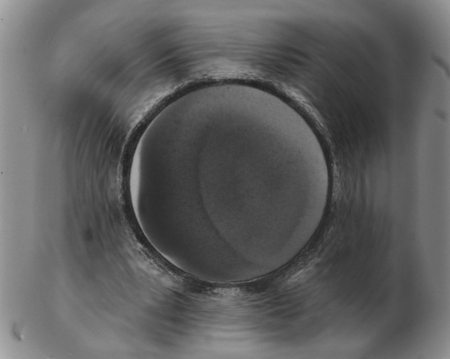 X0000102770391200809151044