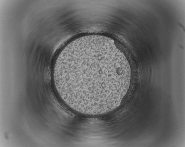 X0000102770392200809151044