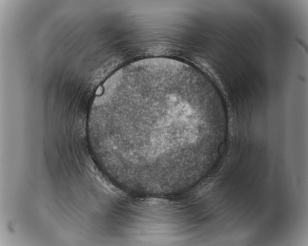 X0000102770393200809151044