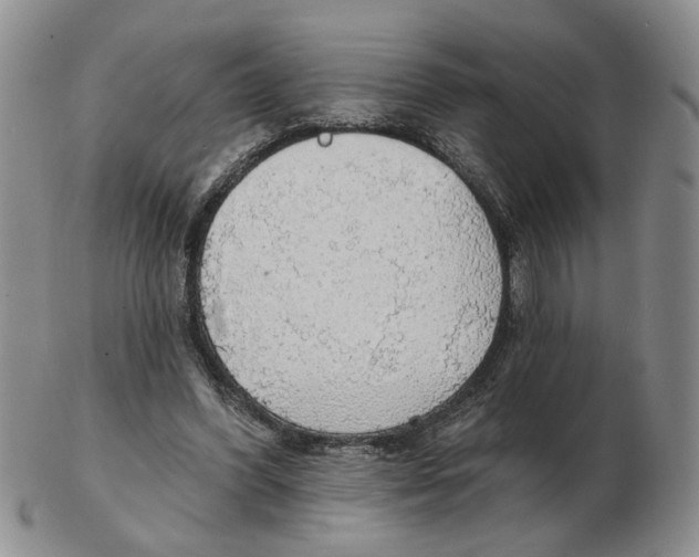 X0000102770396200809151044