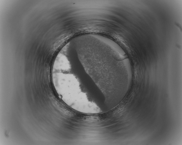 X0000102770398200809151044