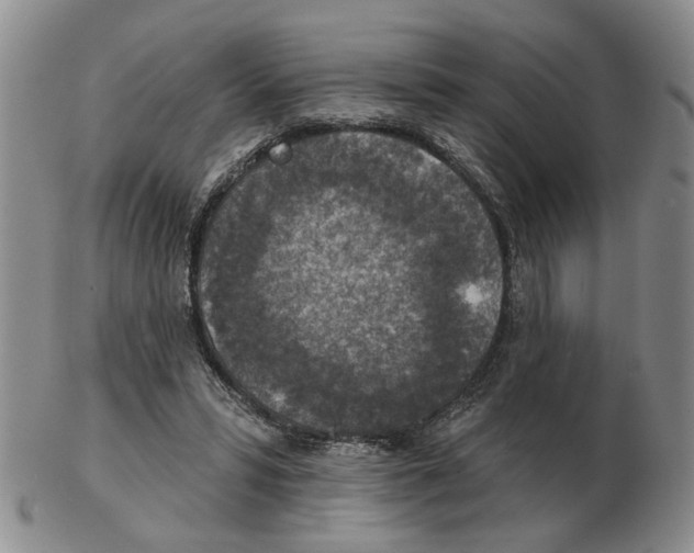 X0000102770399200809151044