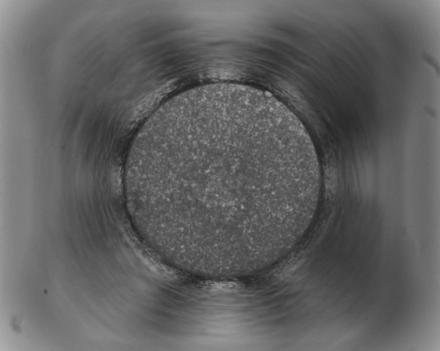 X0000102770401200809151044