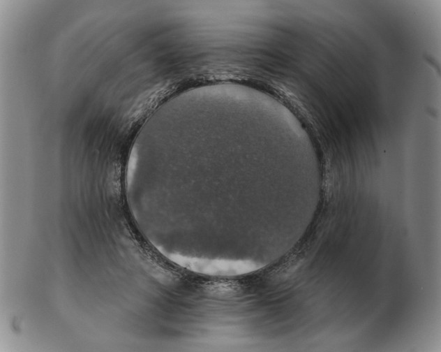 X0000102770402200809151044