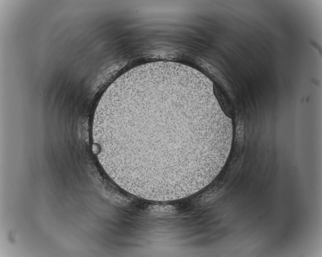 X0000102770403200809151044