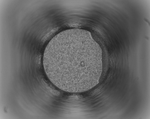 X0000102770404200809151044