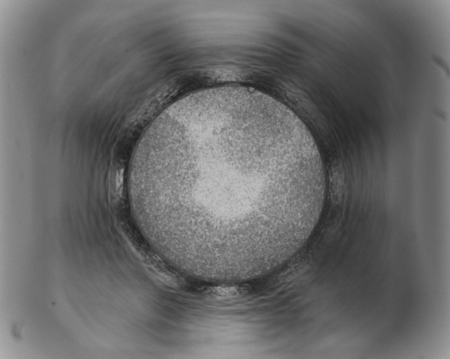 X0000102770406200809151044