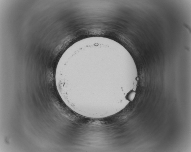 X0000102770407200809151044