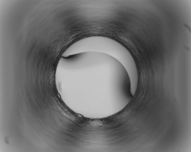 X0000102770409200809151044