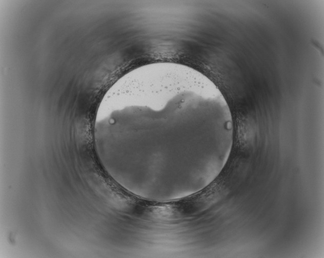 X0000102770411200809151044