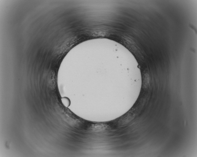 X0000102770414200809151044