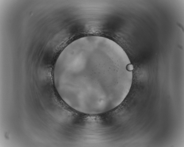 X0000102770415200809151044