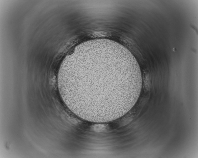 X0000102770418200809151044