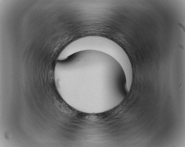 X0000102770419200809151044