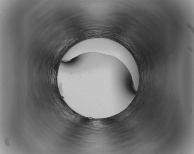 X0000102770423200809151044