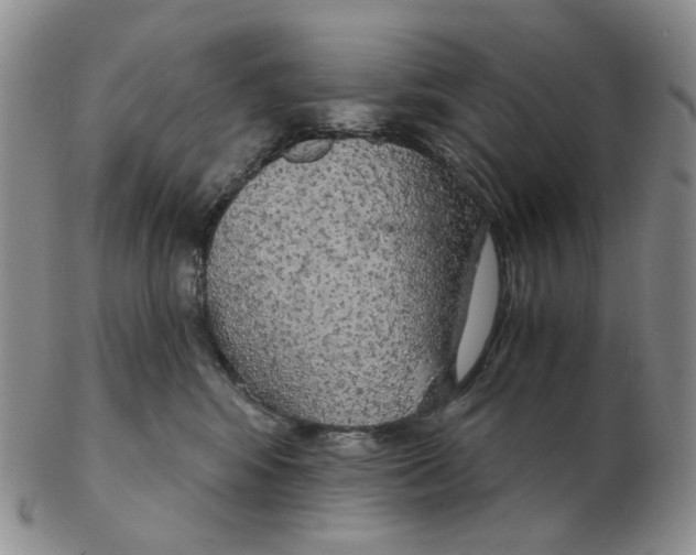 X0000102770424200809151044