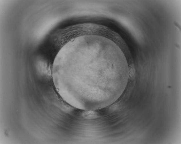 X0000102770431200809151044