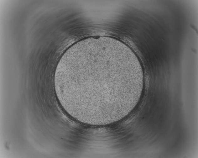 X0000102770433200809151043