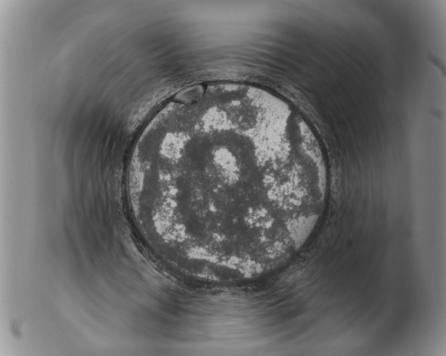 X0000102770434200809151043