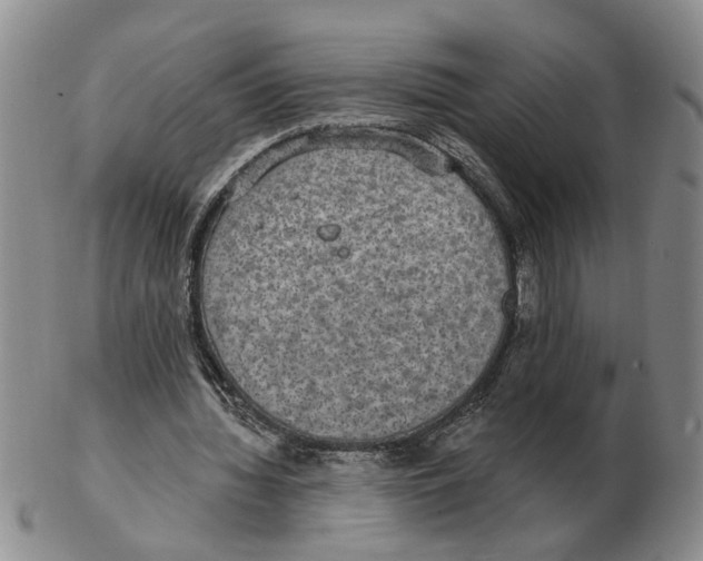 X0000102770436200809151043