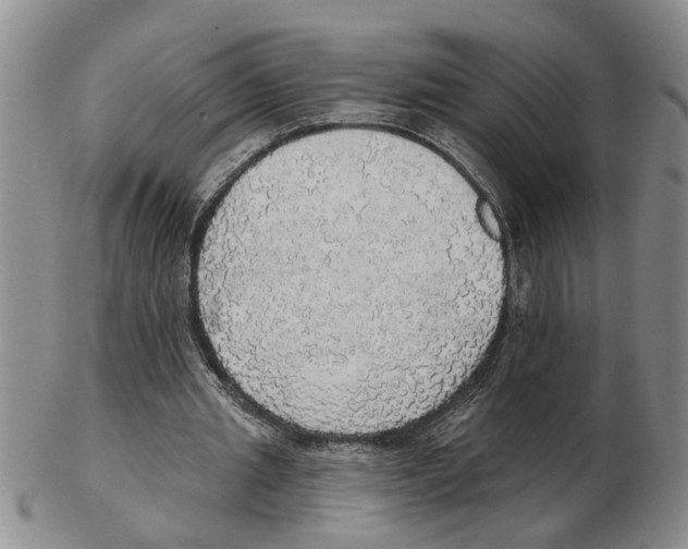 X0000102770437200809151043