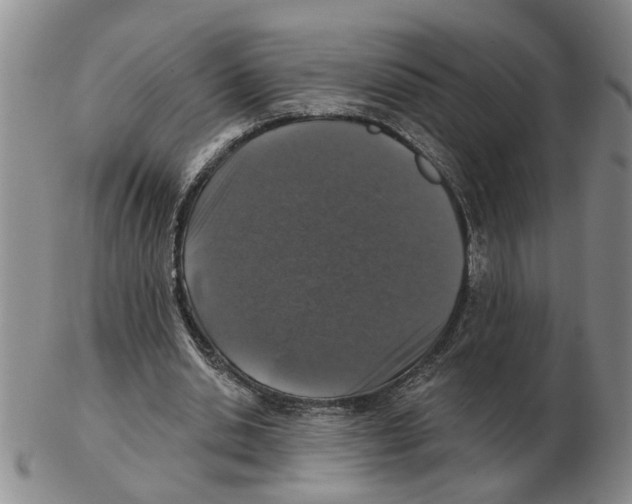 X0000102770438200809151043