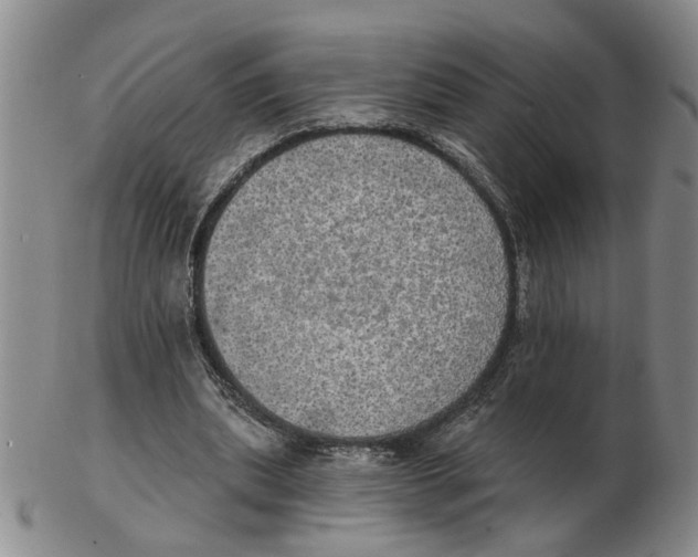 X0000102770439200809151043