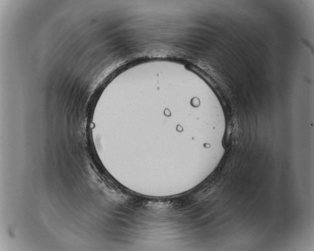 X0000102770440200809151043