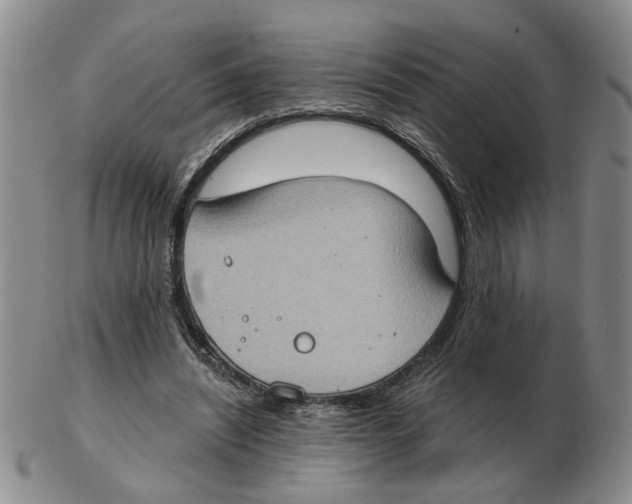 X0000102770444200809151043