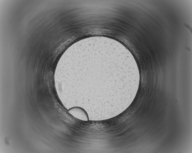 X0000102770445200809151043