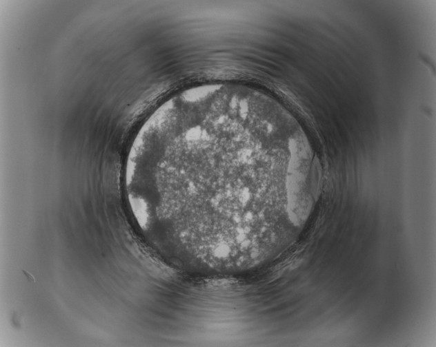 X0000102770446200809151043