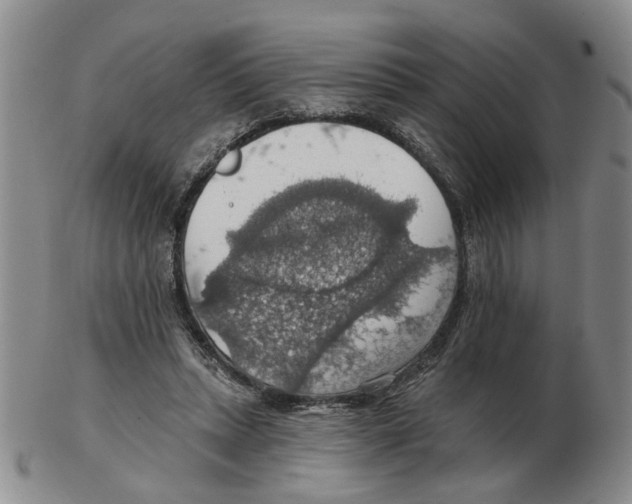 X0000102770447200809151043