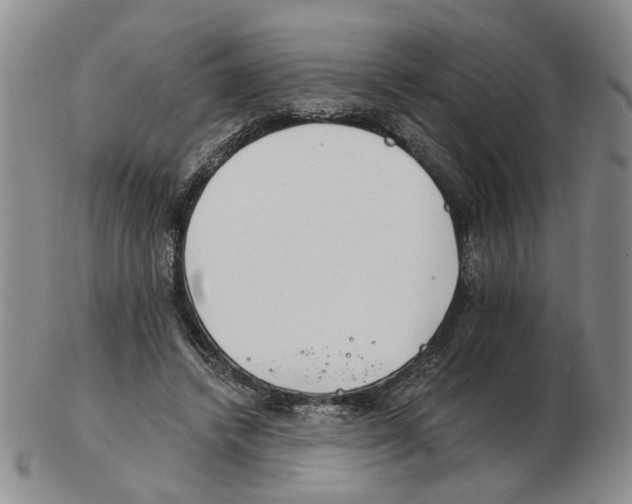 X0000102770448200809151043