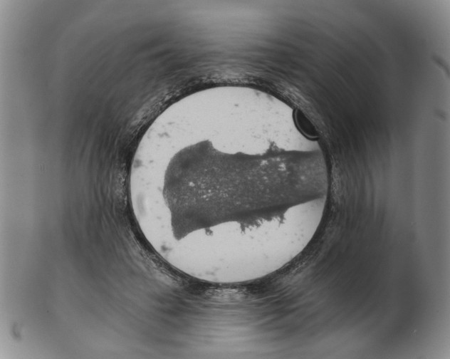 X0000102770449200809151043