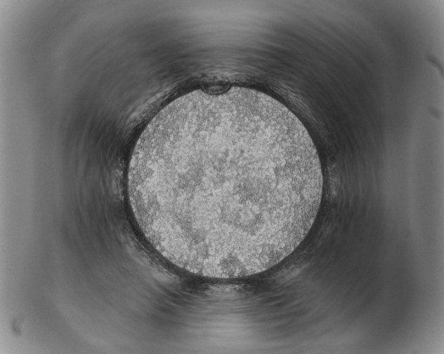 X0000102770450200809151043