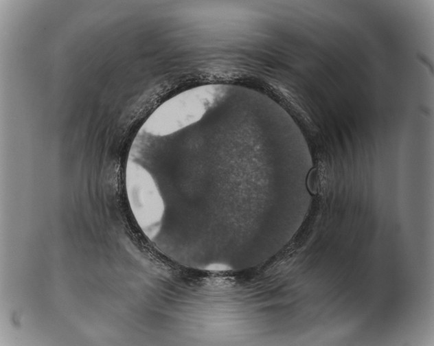 X0000102770451200809151043