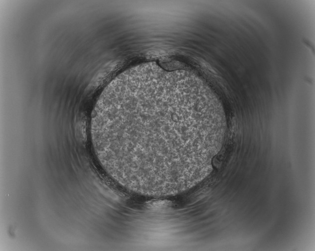 X0000102770452200809151043