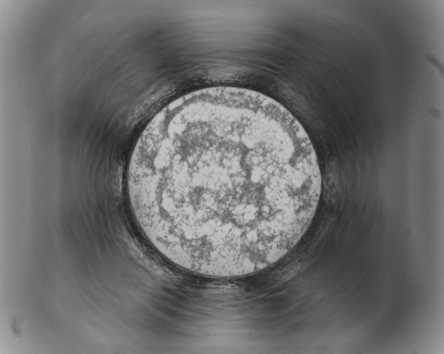 X0000102770454200809151043