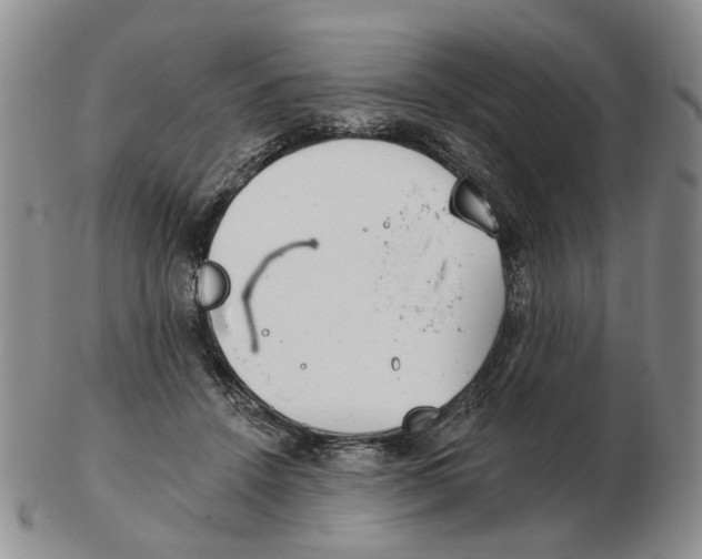 X0000102770456200809151043