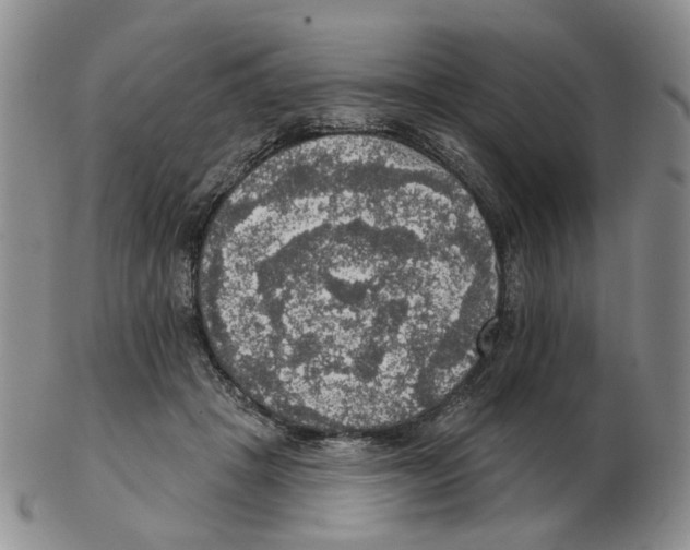 X0000102770457200809151043