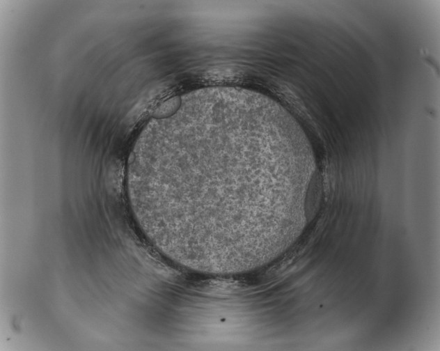 X0000102770458200809151043