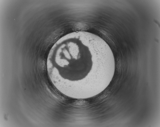 X0000102770459200809151043