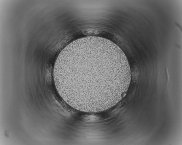 X0000102770460200809151044