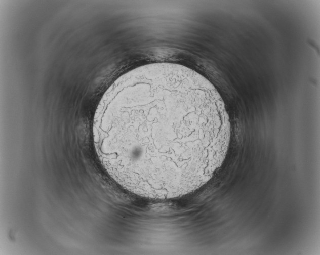 X0000102770461200809151044