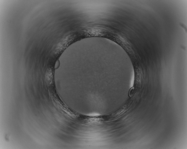 X0000102770465200809151044