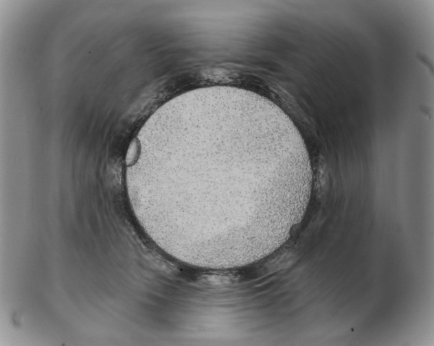 X0000102770466200809151044